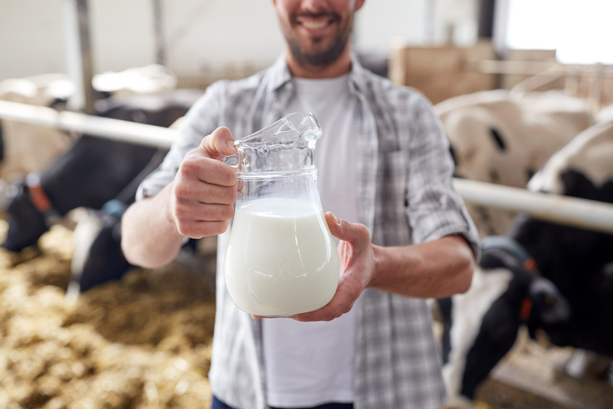 Dairy farmer with milk
